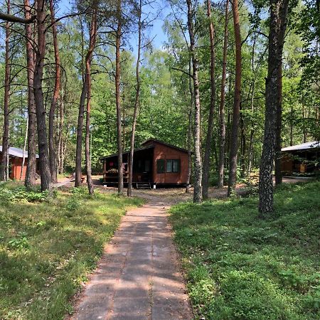 Lesnik Bungalow Stegna - Domki Letniskowe Nad Morzem Εξωτερικό φωτογραφία
