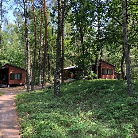 Lesnik Bungalow Stegna - Domki Letniskowe Nad Morzem Εξωτερικό φωτογραφία