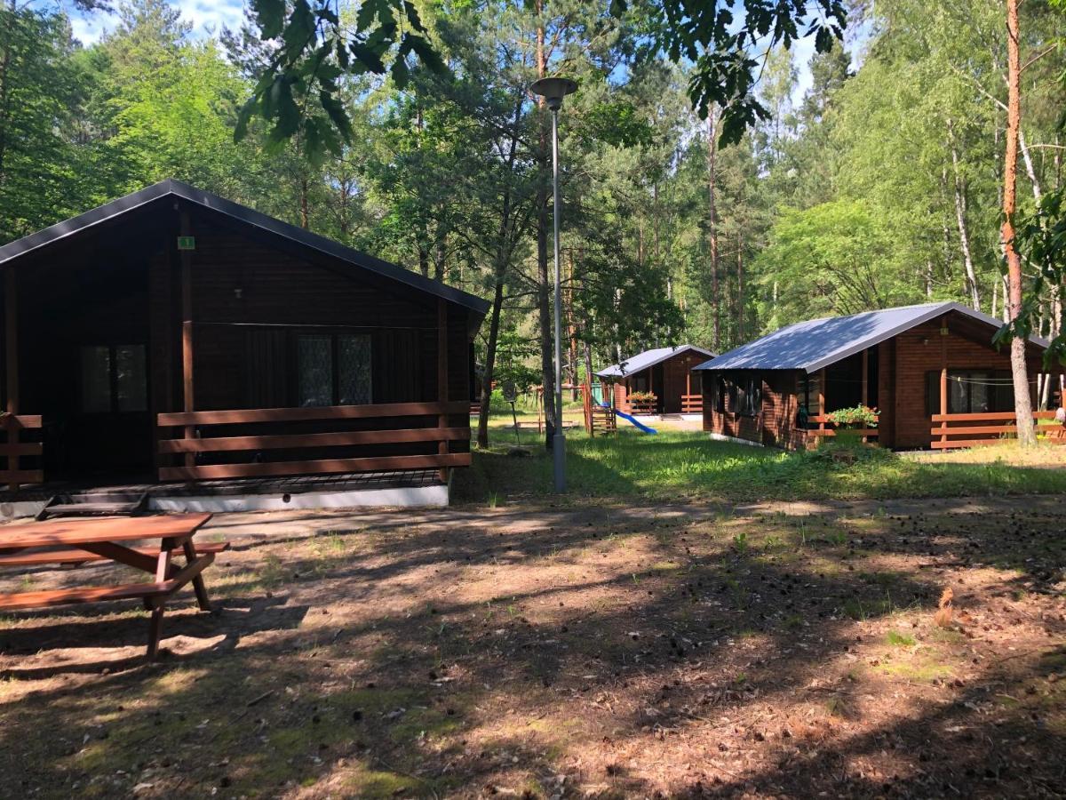 Lesnik Bungalow Stegna - Domki Letniskowe Nad Morzem Εξωτερικό φωτογραφία