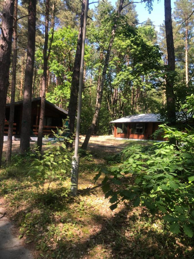 Lesnik Bungalow Stegna - Domki Letniskowe Nad Morzem Εξωτερικό φωτογραφία